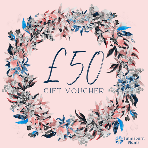 £50 Tinnisburn Digital Gift Card